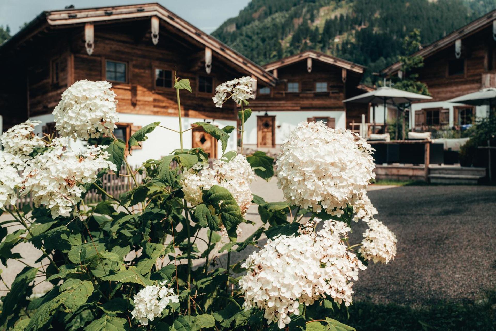 Alpzitt-Chalets Burgberg  Buitenkant foto